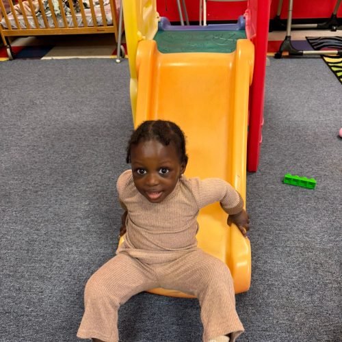 whatsapp image 2026 02 16 at 5.17.03 pm