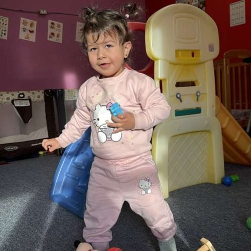 whatsapp image 2026 02 16 at 5.17.07 pm (1)