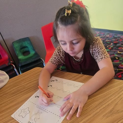 whatsapp image 2026 02 16 at 5.17.08 pm (1)