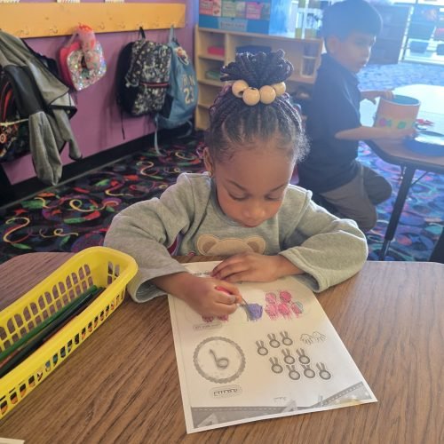 whatsapp image 2026 02 16 at 5.17.09 pm (1)