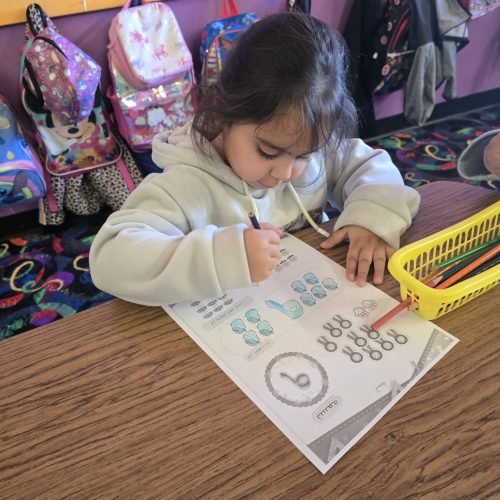 whatsapp image 2026 02 16 at 5.17.10 pm