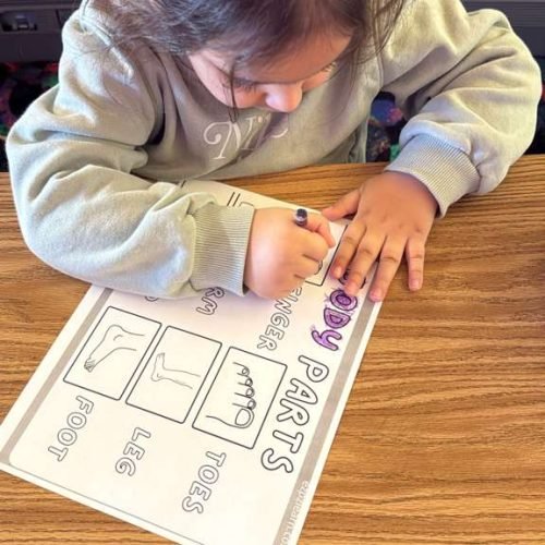 whatsapp image 2026 02 16 at 5.17.11 pm (1)