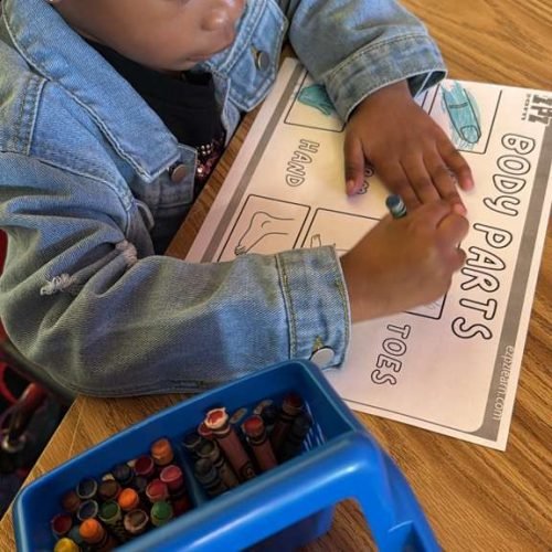 whatsapp image 2026 02 16 at 5.17.11 pm