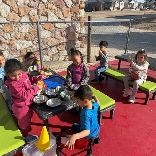 whatsapp image 2026 02 16 at 5.17.12 pm (1)