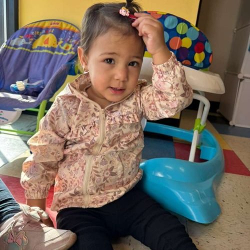 whatsapp image 2026 02 16 at 5.17.12 pm