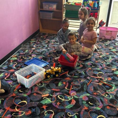 whatsapp image 2026 02 16 at 5.17.13 pm