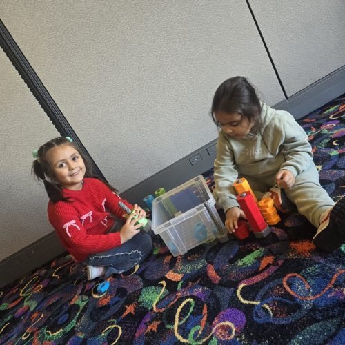 whatsapp image 2026 02 16 at 5.17.15 pm (1)