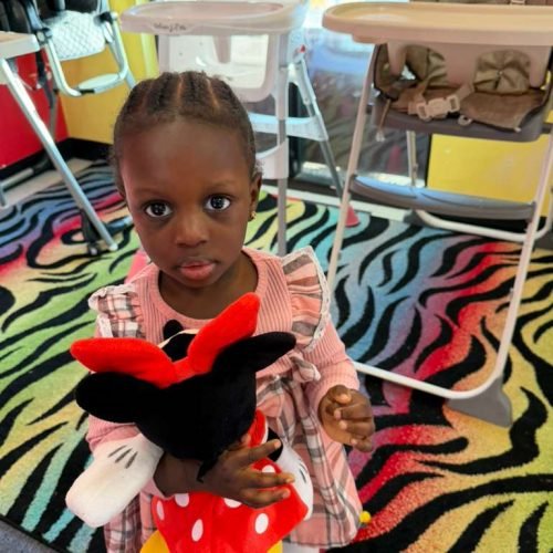 whatsapp image 2026 02 16 at 5.17.16 pm