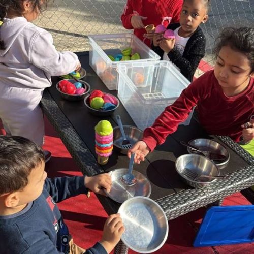 whatsapp image 2026 02 16 at 5.17.17 pm (1)