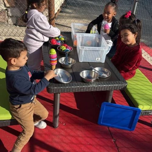 whatsapp image 2026 02 16 at 5.17.17 pm