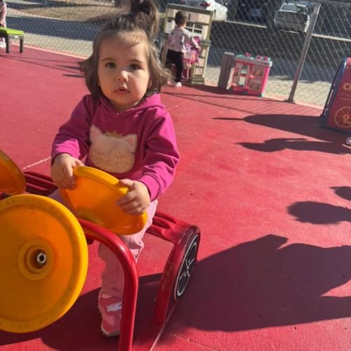 whatsapp image 2026 02 16 at 5.17.18 pm