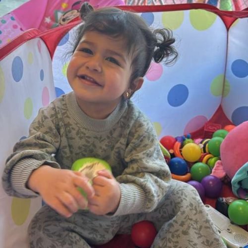 whatsapp image 2026 02 16 at 5.17.19 pm