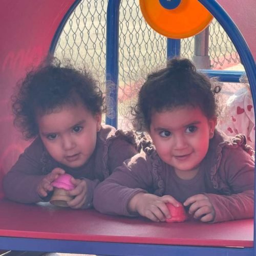 whatsapp image 2026 02 16 at 5.17.21 pm (1)