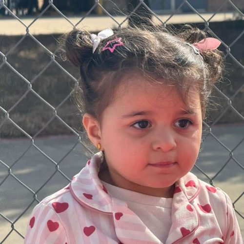 whatsapp image 2026 02 16 at 5.17.21 pm (2)