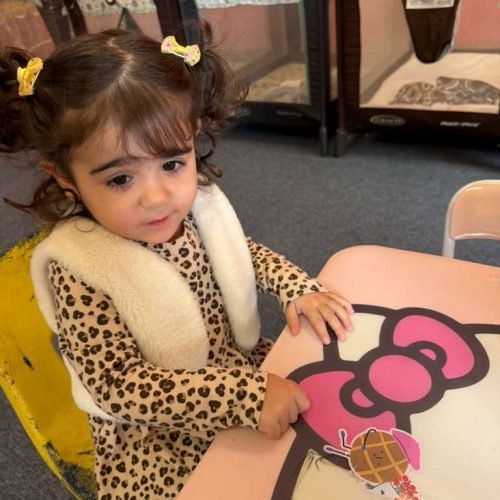 whatsapp image 2026 02 16 at 5.17.21 pm