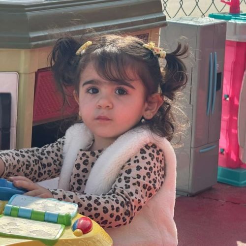 whatsapp image 2026 02 16 at 5.17.22 pm